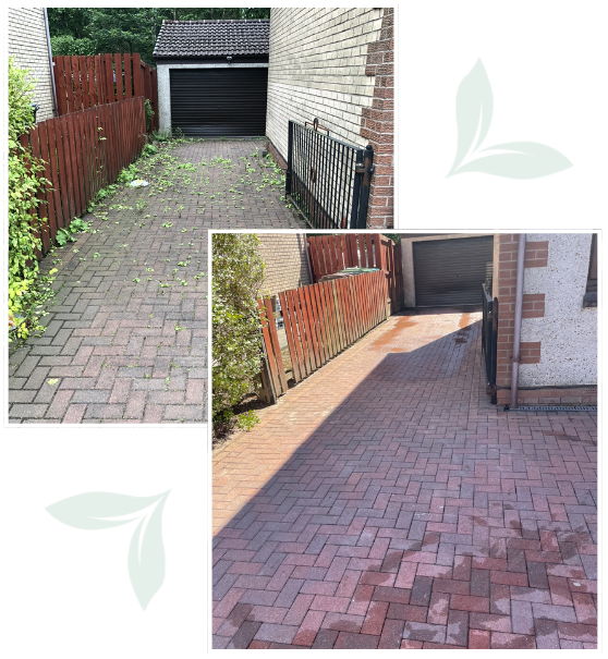 Commercial Pressure Cleaning Service